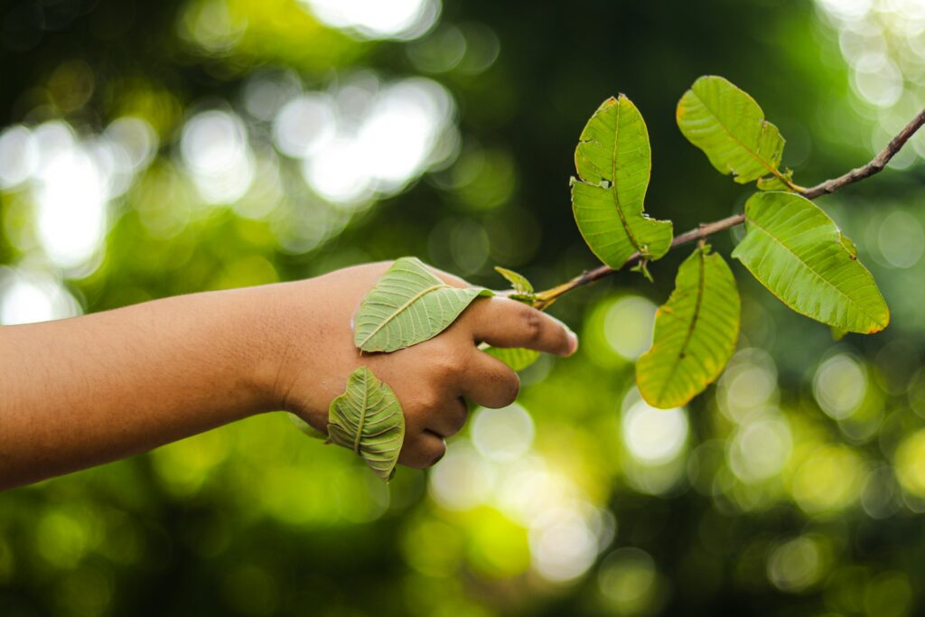 como trabalhar com direito ambiental, o que faz o direito ambiental