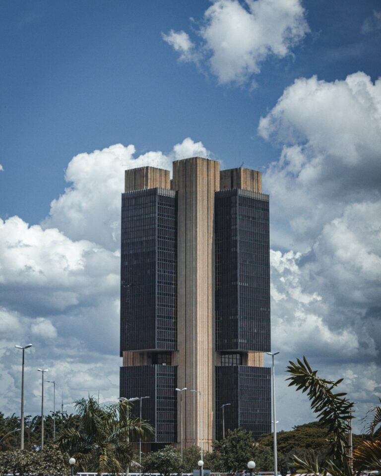 Veja como o economista atua no setor público, em áreas como planejamento, orçamento e políticas públicas.