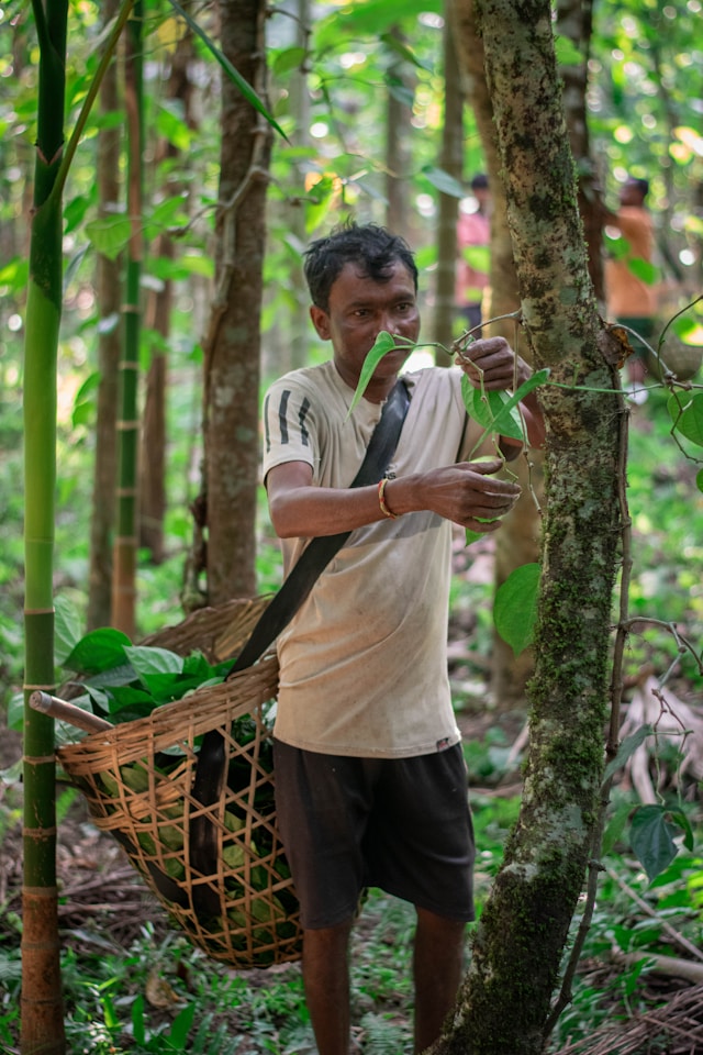 Saiba quais são as principais áreas da Sociologia e como os sociólogos estudam a sociedade.