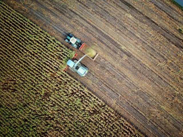 área de atuação do economista na economia agrícola